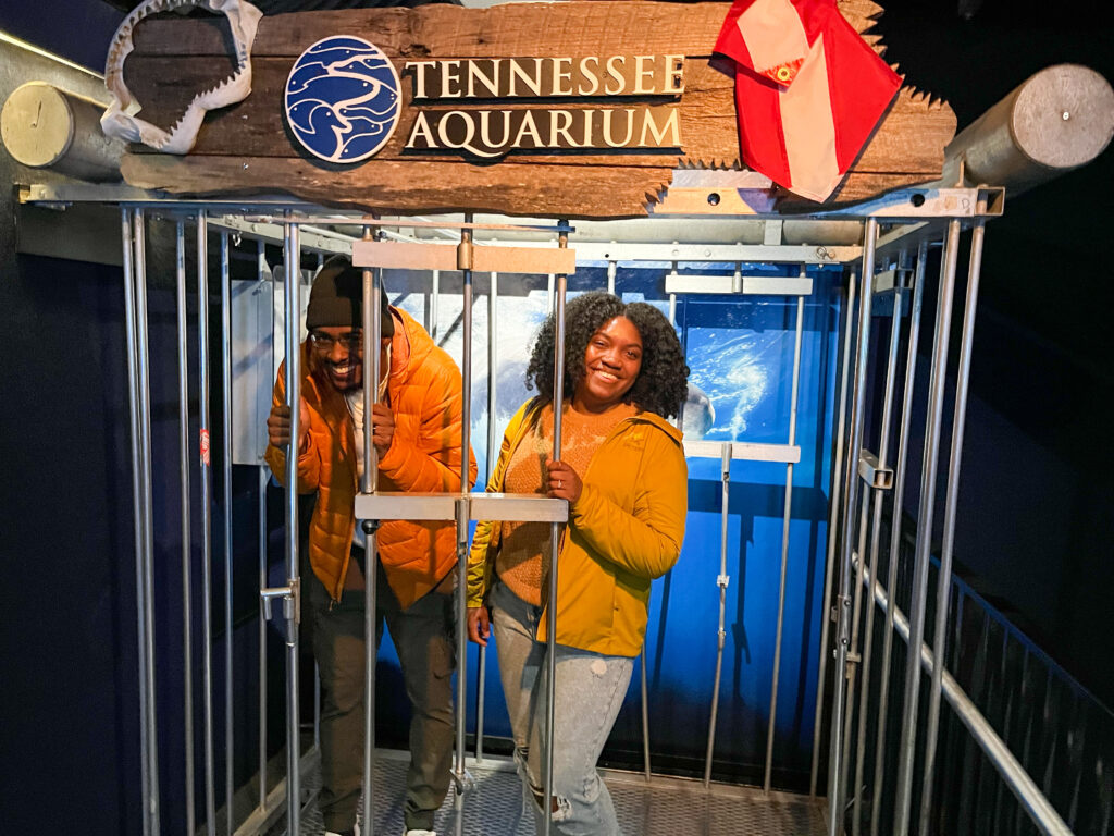 Tennessee aquarium in chattanooga