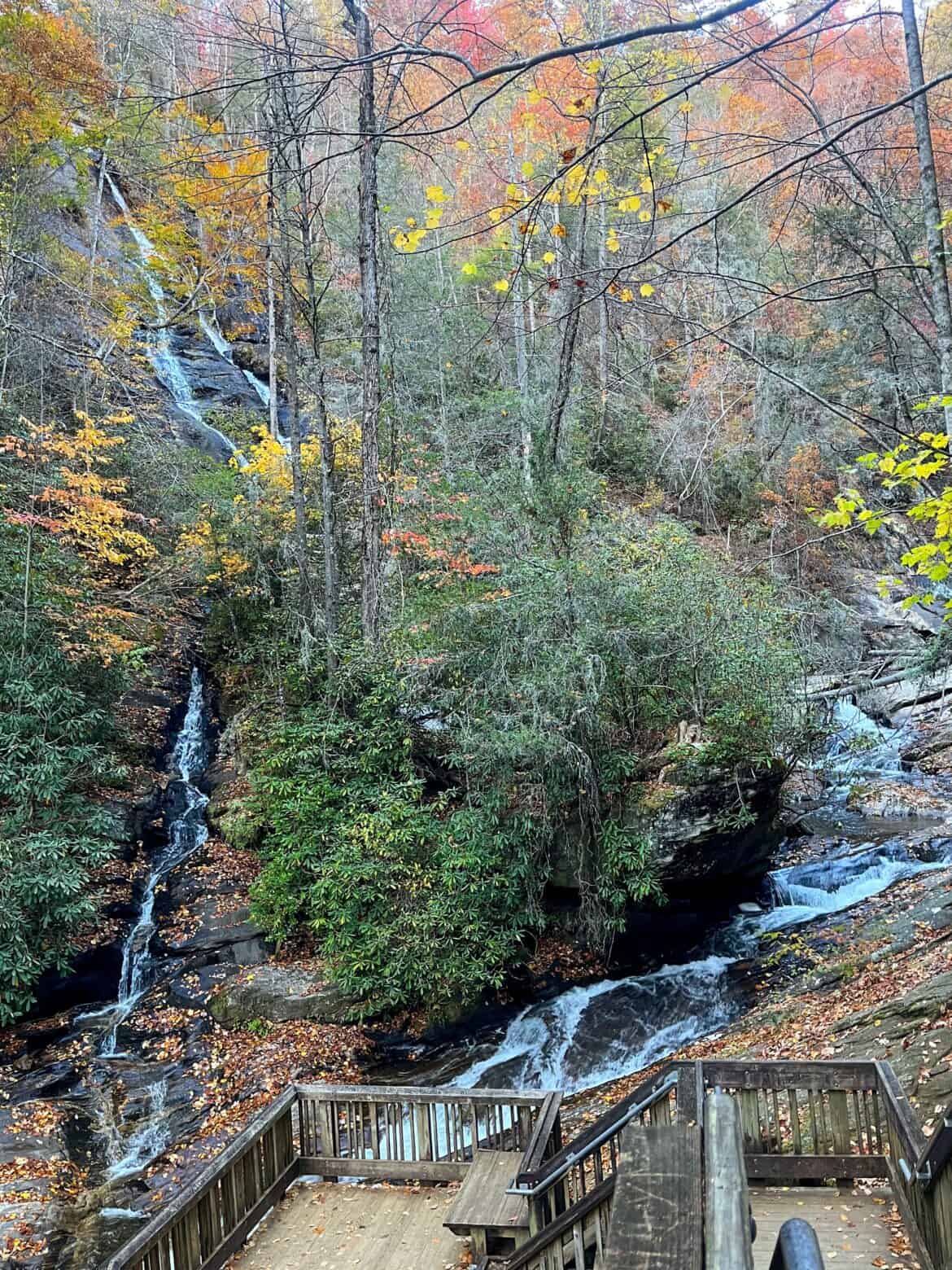 7+ Must-See Stops on the Russell Brasstown Scenic Byway