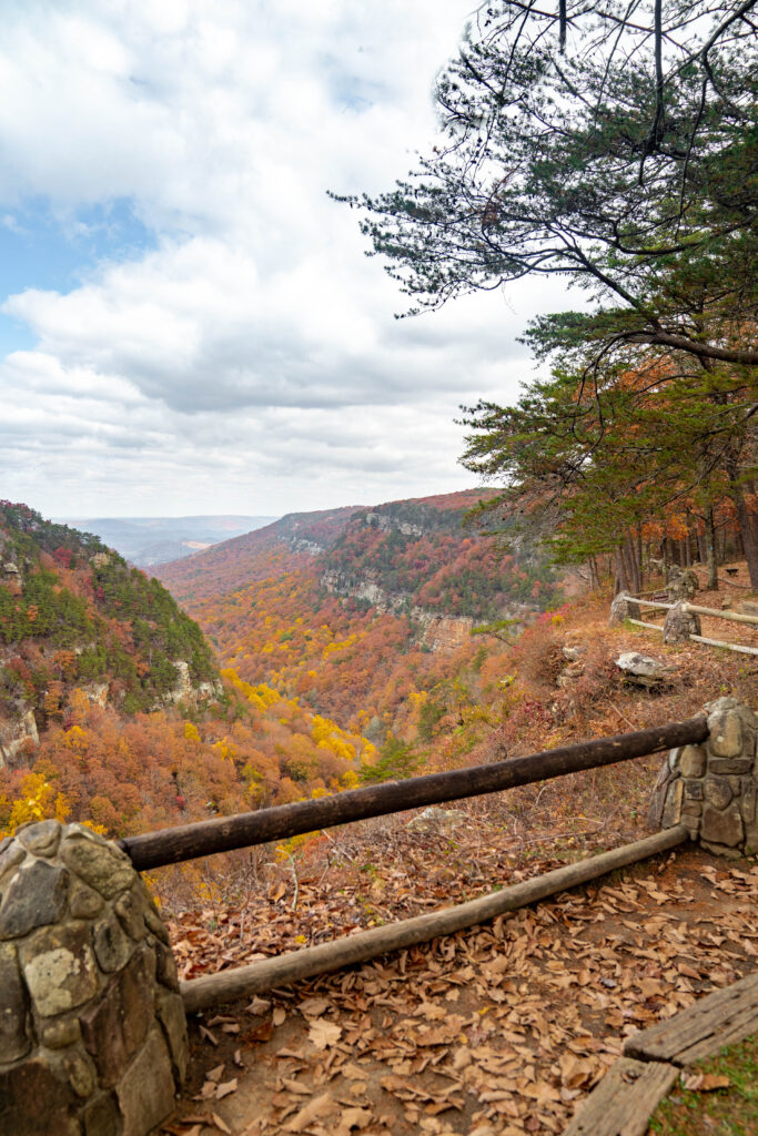 cloudland canyon- best state park in georgia 