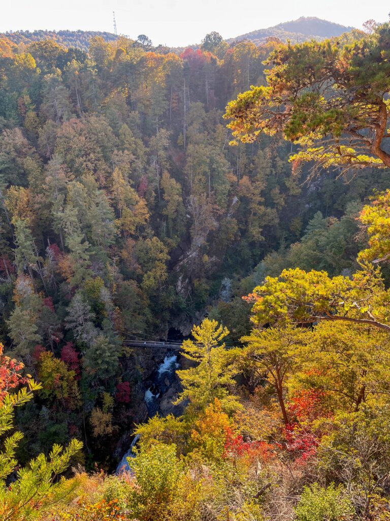 tallulah gorge fall colors in geogia