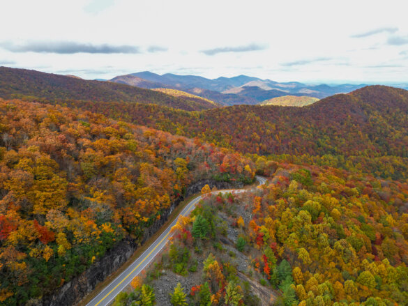 7+ Must-See Stops on the Russell Brasstown Scenic Byway