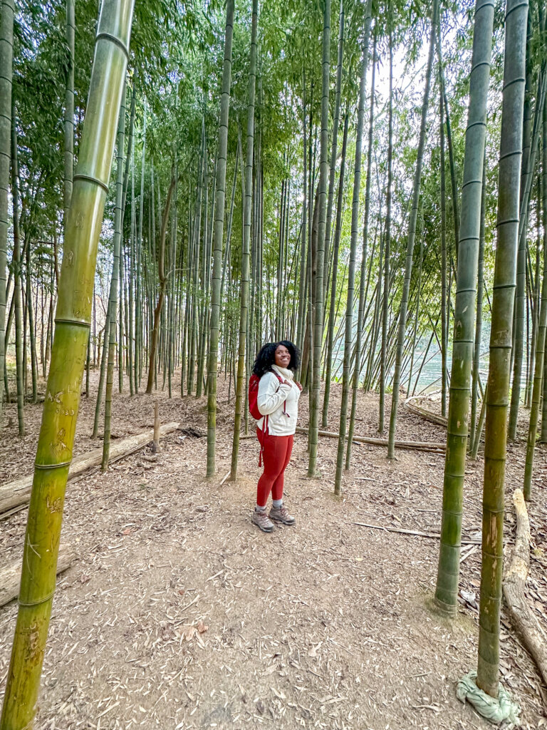 east palisades bamboo forest