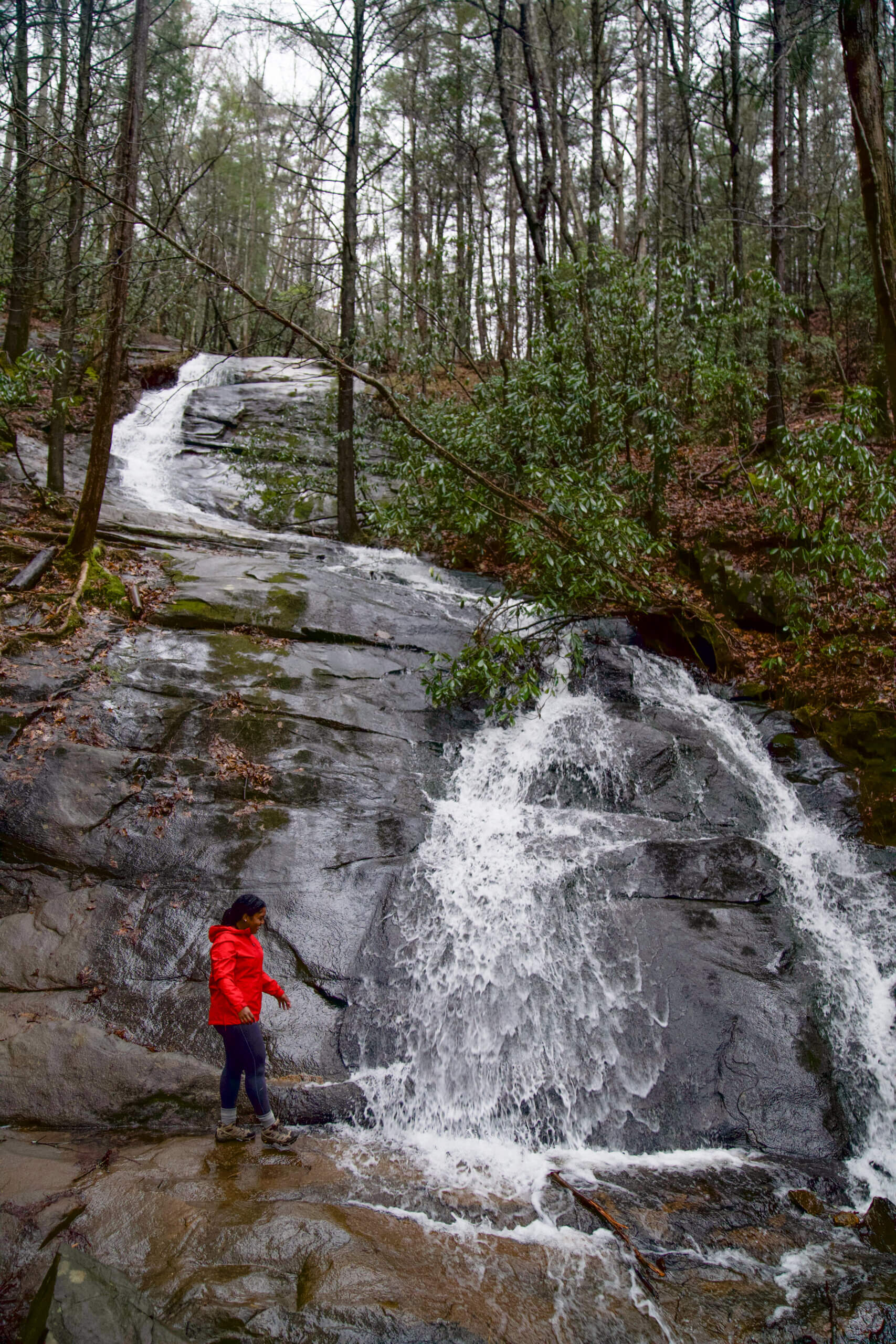 14 Best Hikes Near Blue Ridge, GA (Waterfalls, Views & Easy Trails) - A ...