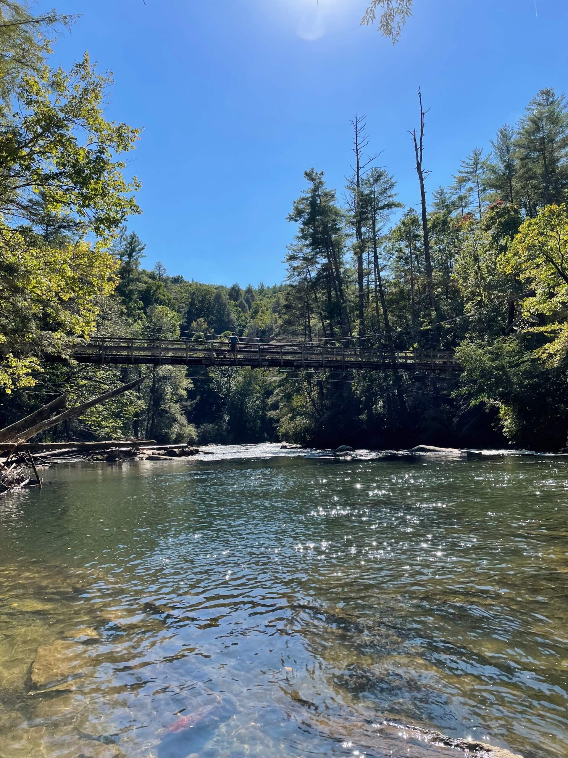 14 Best Hikes Near Blue Ridge, GA (Waterfalls, Views & Easy Trails) - A ...